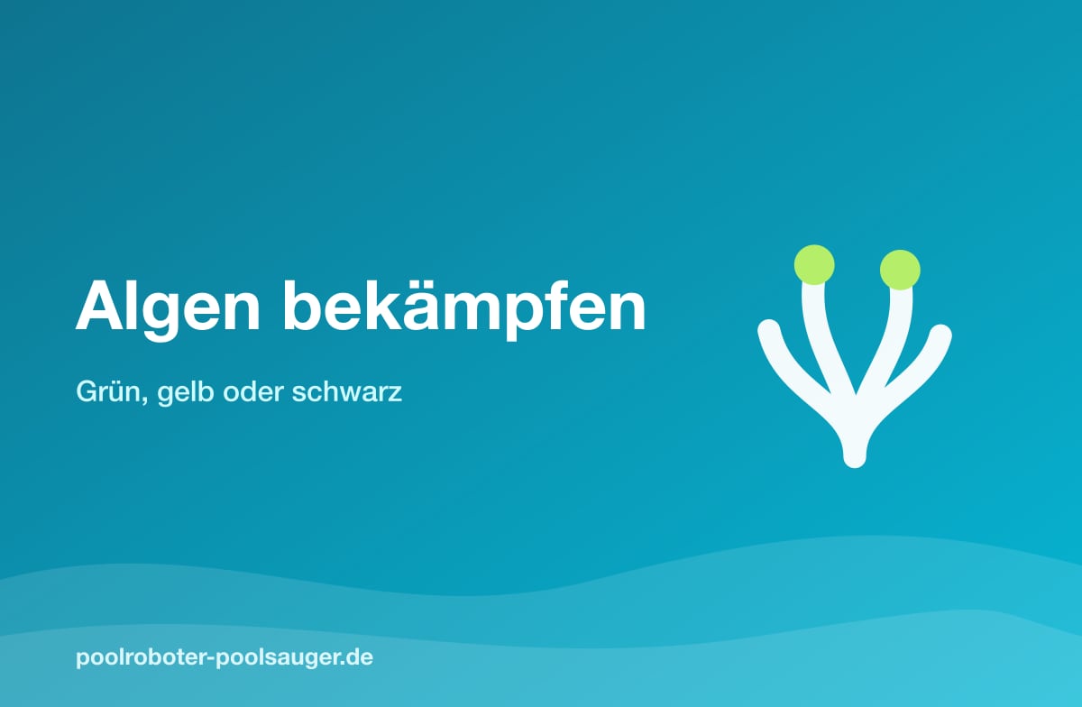 Algen im Pool bekämpfen