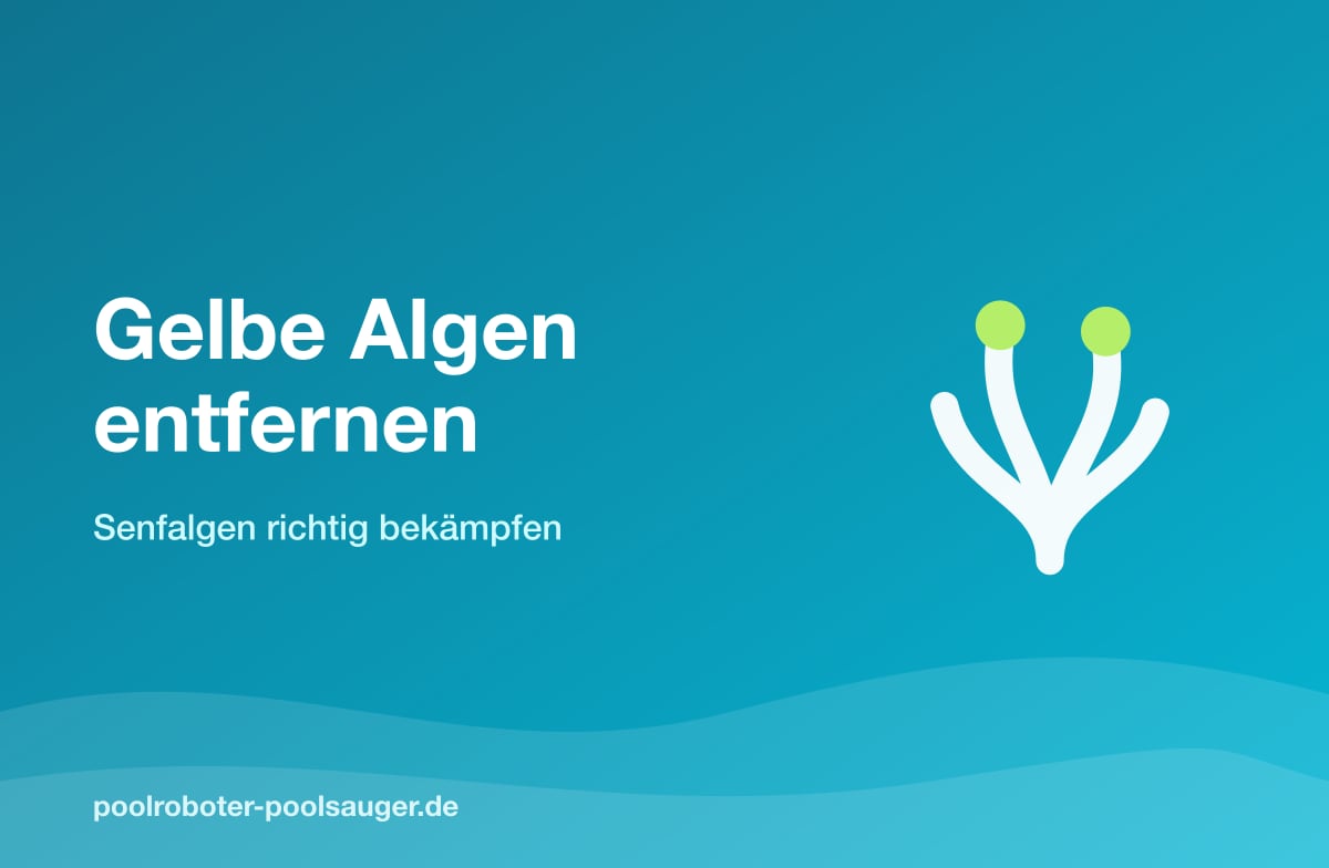 Gelbe Algen (Senfalgen) im Pool entfernen