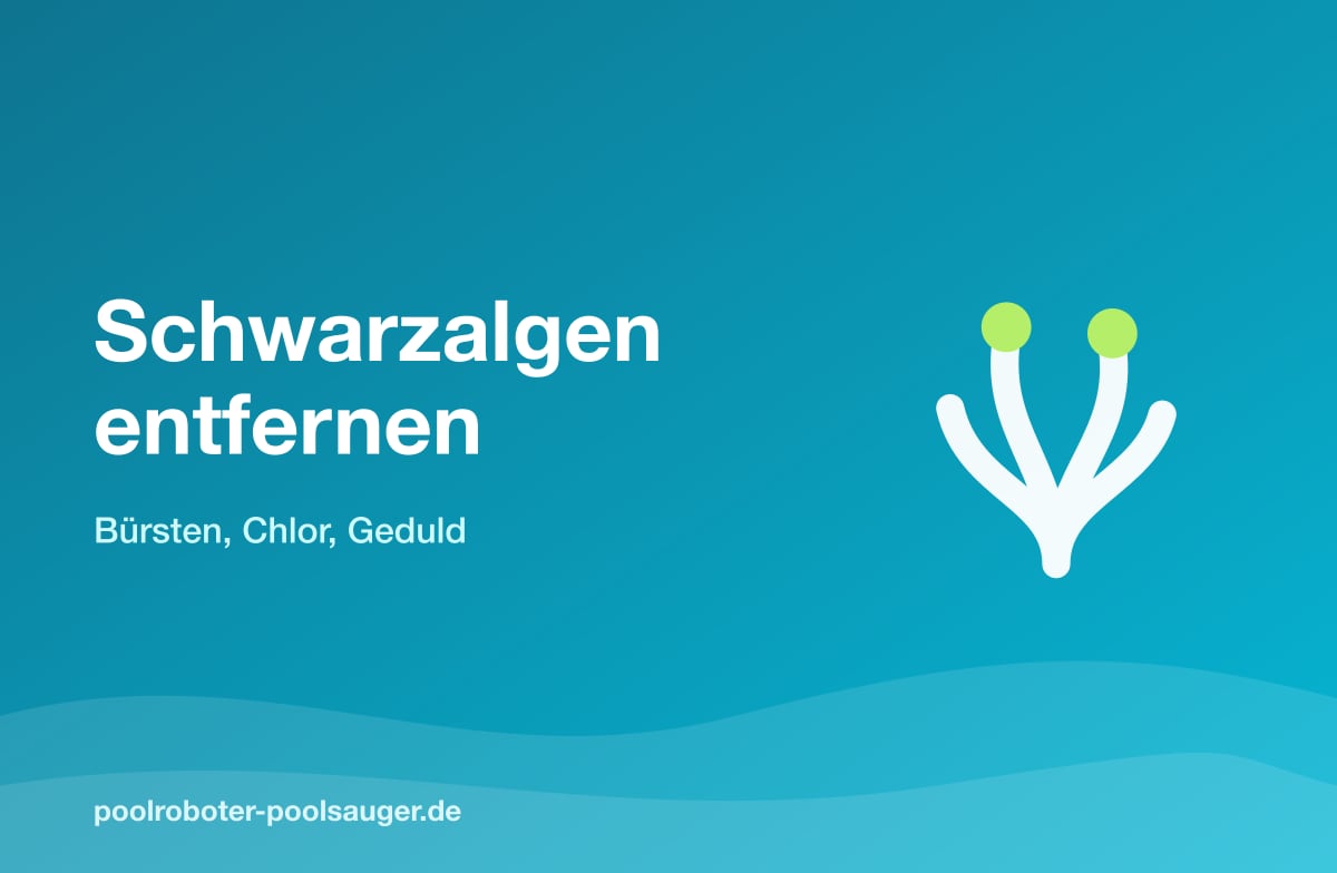 Schwarzalgen im Pool entfernen